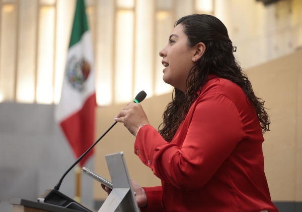 Proponen en Congreso agravante para el delito de falsedad de declaraciones en procesos familiares