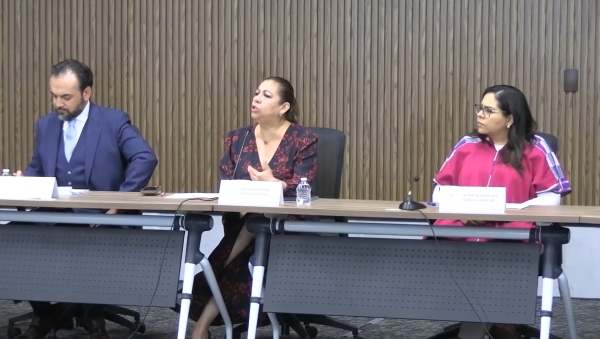 Ley Chaleco requiere más cámaras de seguridad conectadas al C5: Laura Artemisa