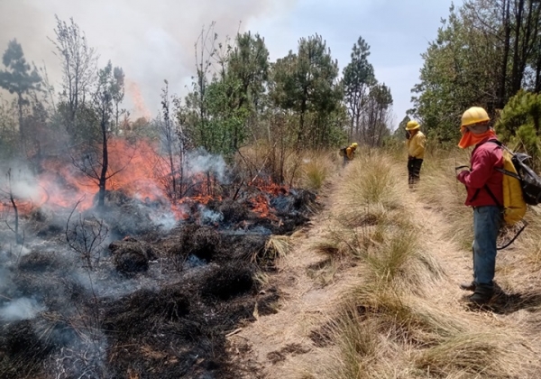 Liquidados los incendios forestales de los municipios de Libres y Coyomeapan