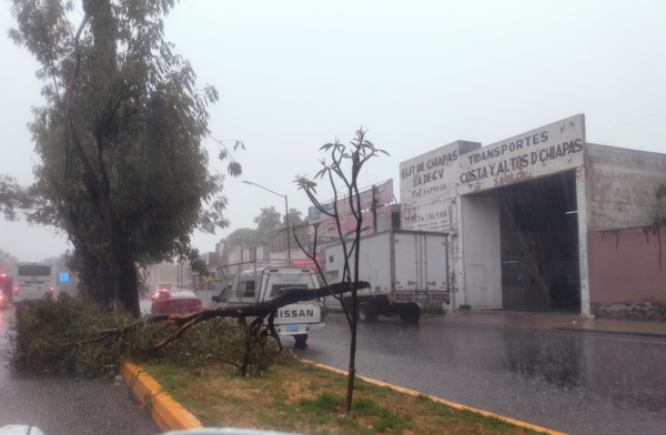 Ante el pronóstico de lluvias, el Gobierno de la Ciudad emite recomendaciones para automovilistas