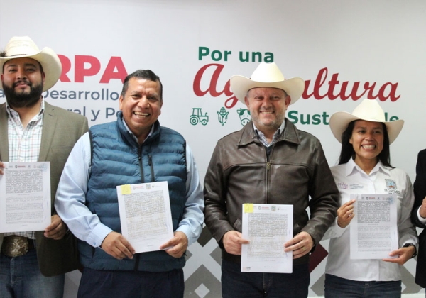 Refrenda gobierno de Puebla convenio con Veracruz para movilizar colmenas