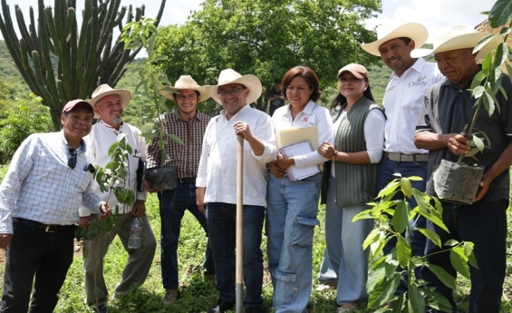 Promueve diputado Pável Gaspar acciones de obra comunitaria para fortalecer el desarrollo de la Mixteca poblana