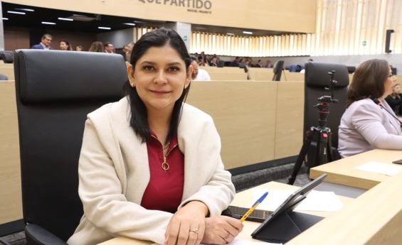 Impulsa diputada Ana Lilia Tepole iniciativa para fortalecer la protección de personas usuarias de servicios de salud mental y adicciones
