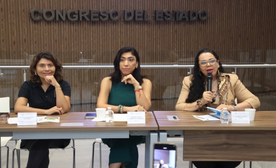 Convoca diputada Norma Pimentel a participar en el Foro sobre el Derecho Integral al Cuidado
