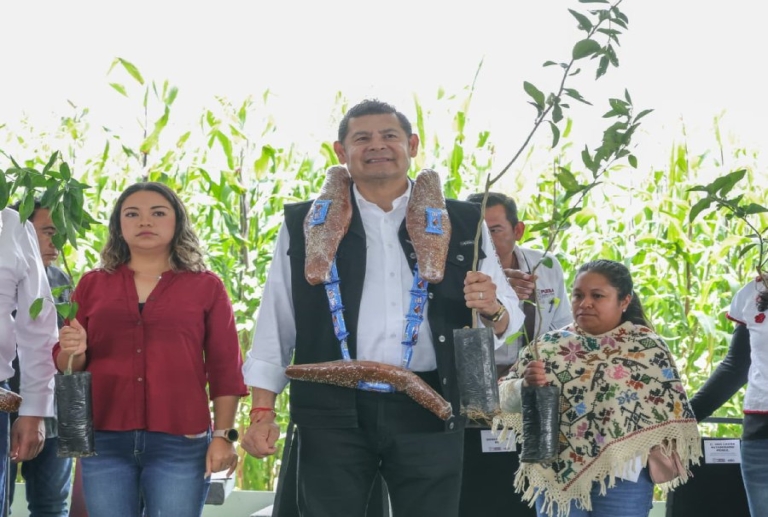 Anuncia el gobernador Alejandro Armenta la rehabilitación de la carretera a Veracruz 